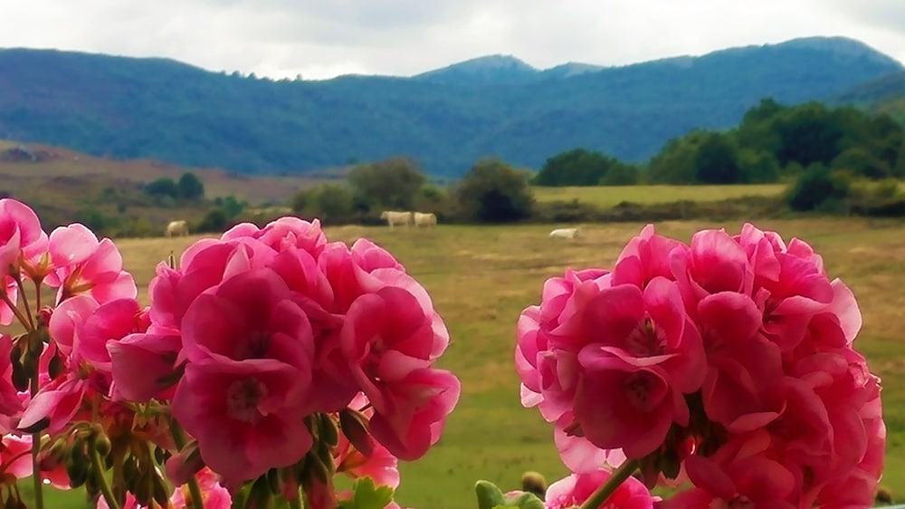 Casa Rural La Toba I y II