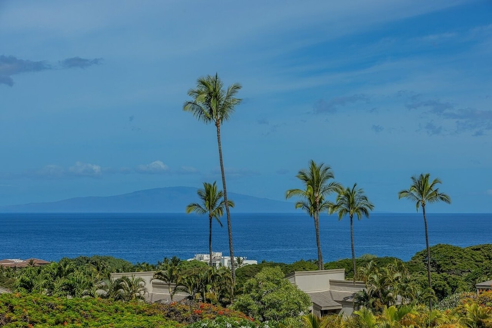 Wailea Ekolu 804 1 Bedroom Condo
