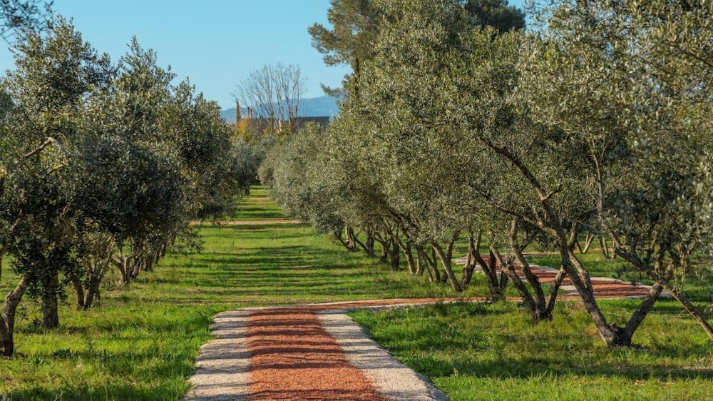 Finca Son Miranda