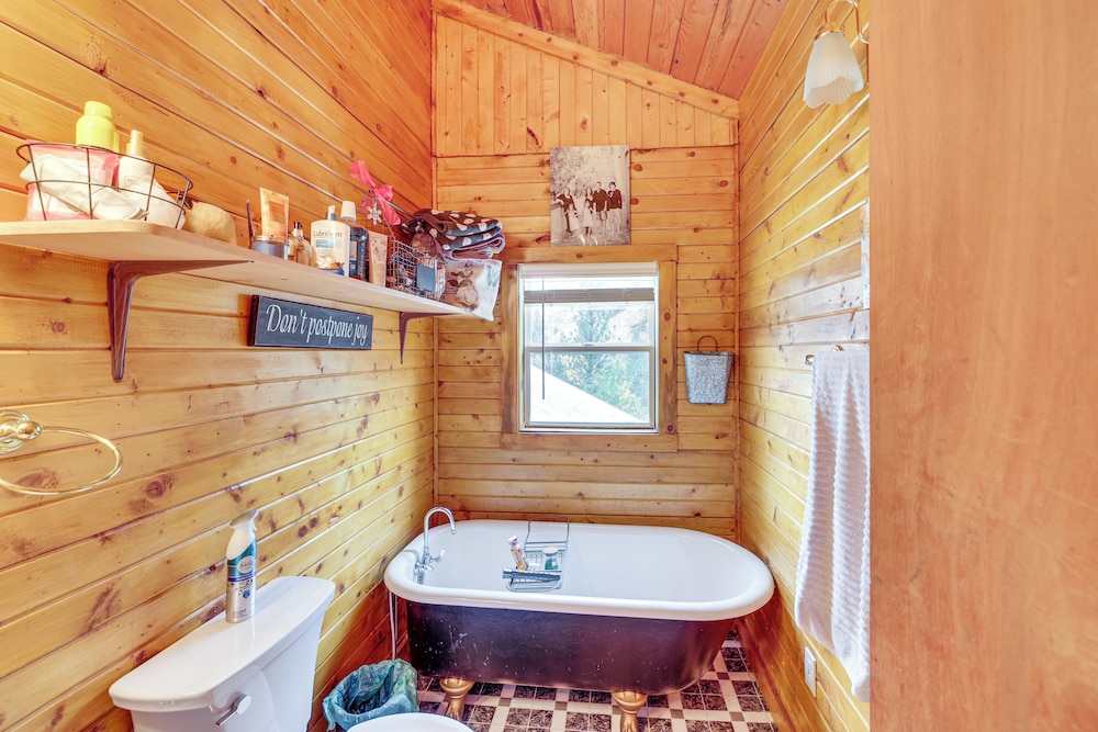 Cabin on Little Salmon River ~ 10 Mi to Riggins!