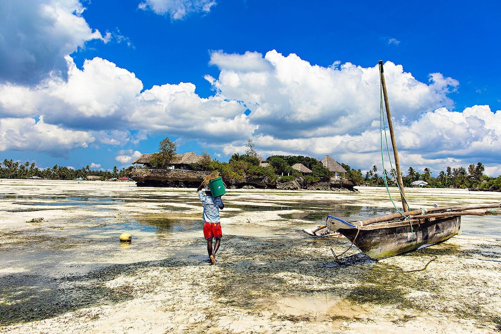 The Island - Pongwe Lodge - Adults Only