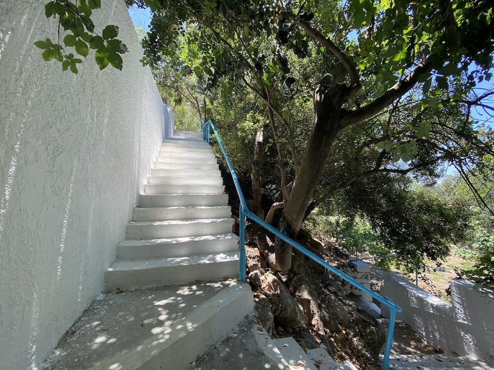 Oleander's Garden