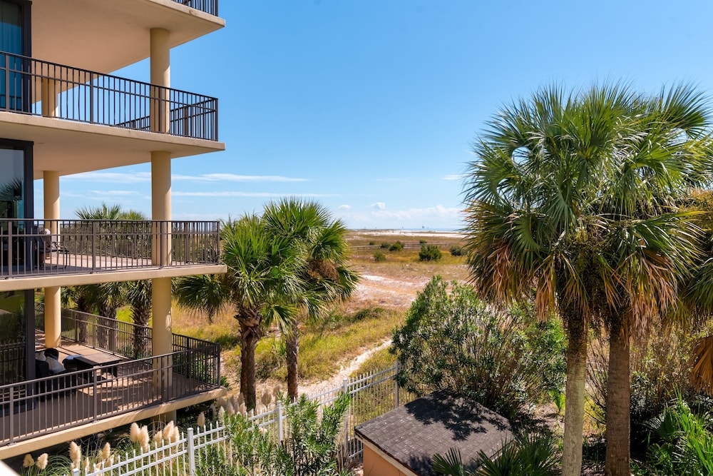 Dauphin Luv - Beach Club #201 4 Bedroom Condo