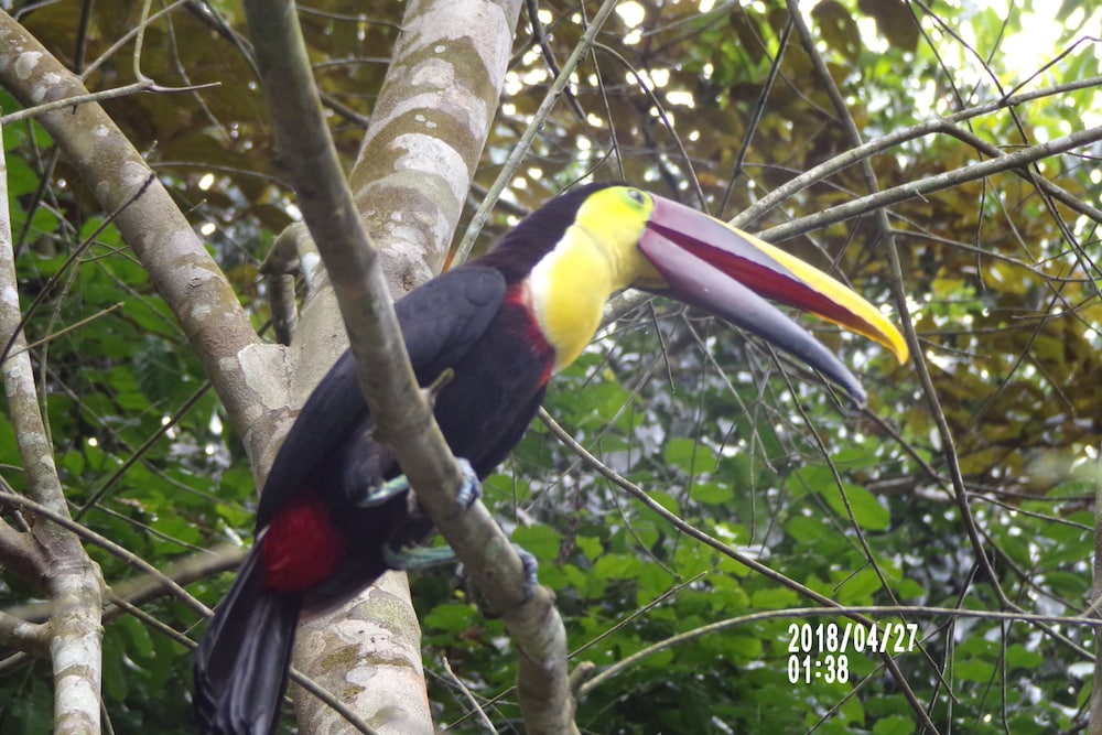 Hotel Mycasa's Bed and Breakfast - Image 1