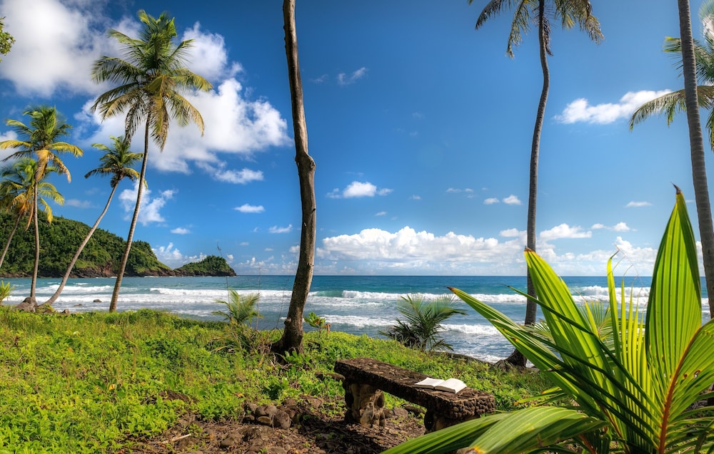 Rosalie Bay Eco Resort & Spa - Photo 15