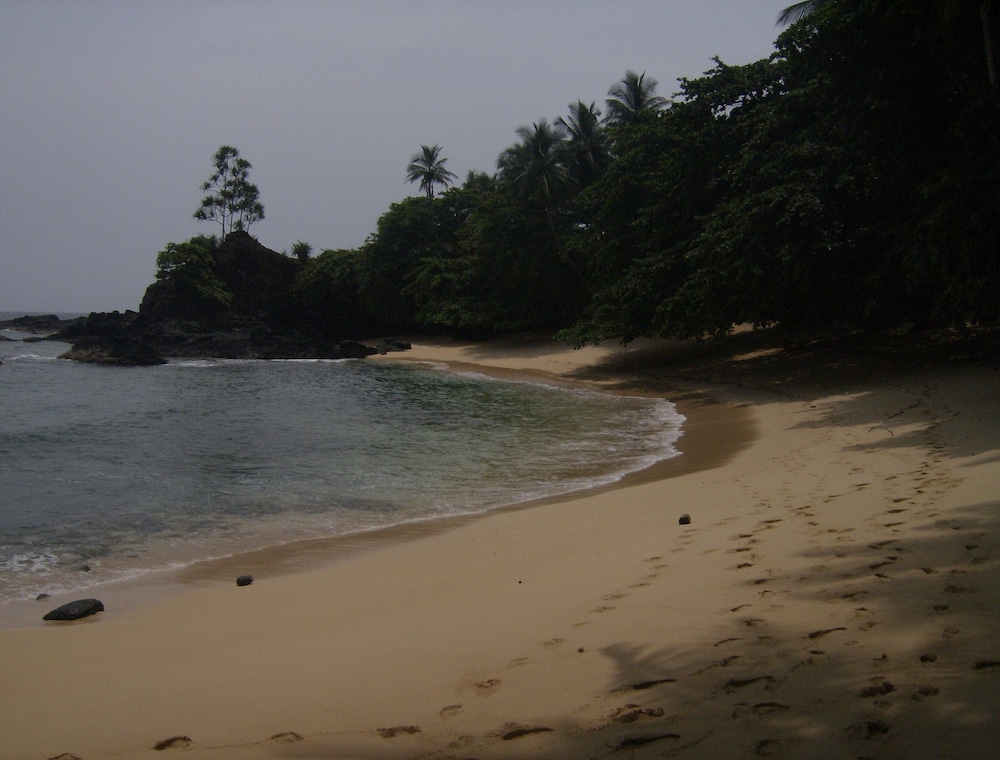 Photo 43