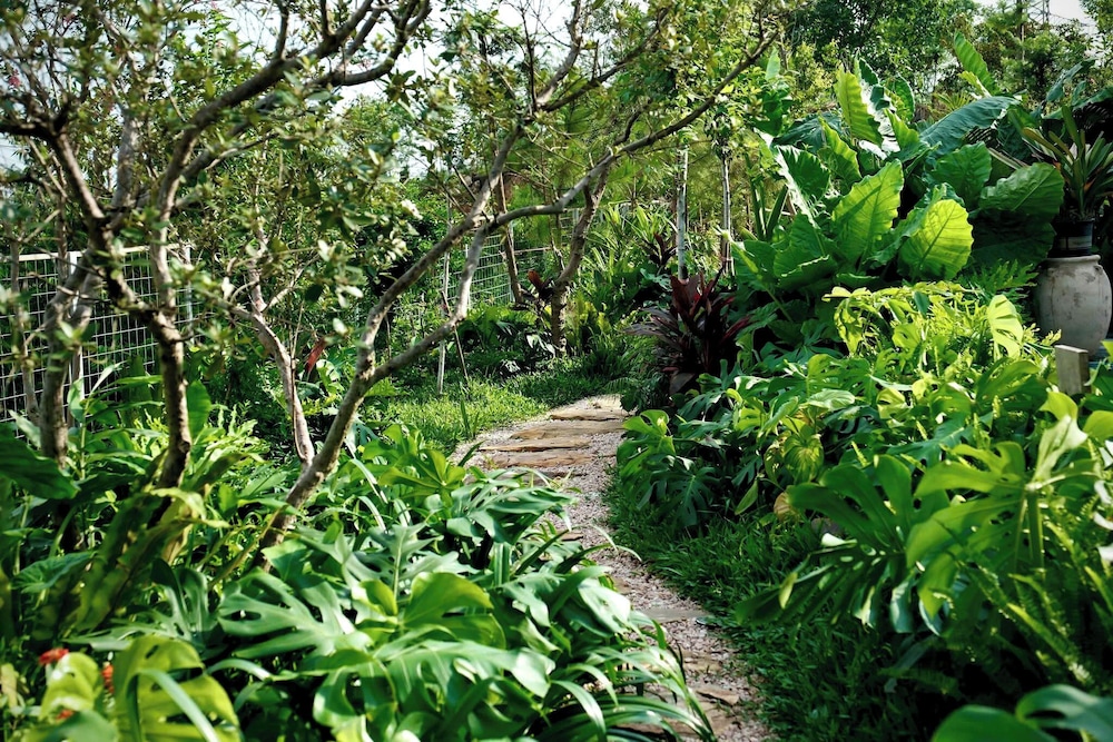 LeeHa Cottage Soc Sơn