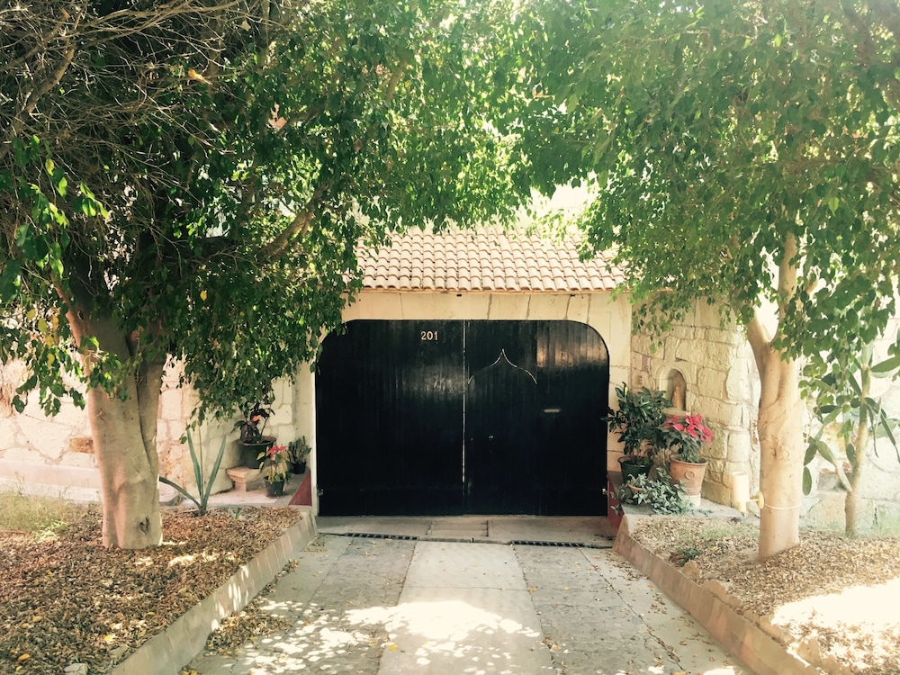 Photo 18