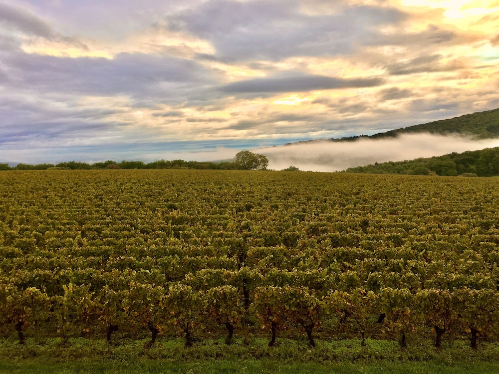 Domaine Joseph Lafarge