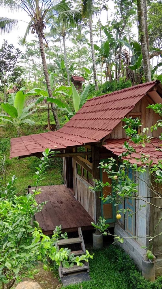 Homestay Ijen Lemonhouse