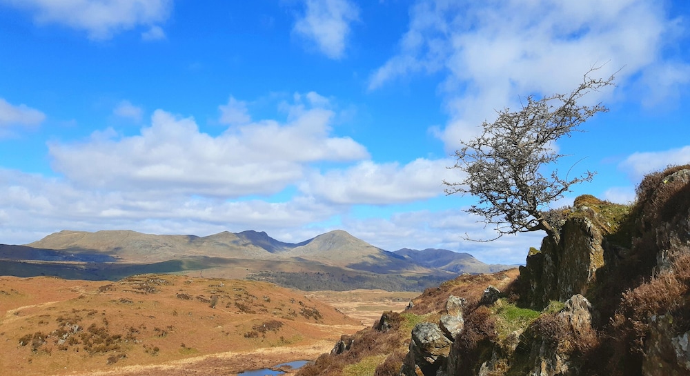 Ling Fell Cottage