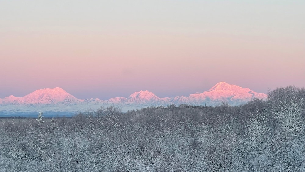 Talkeetna Denali View Lodge and Cabins