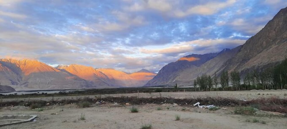 Photo 20