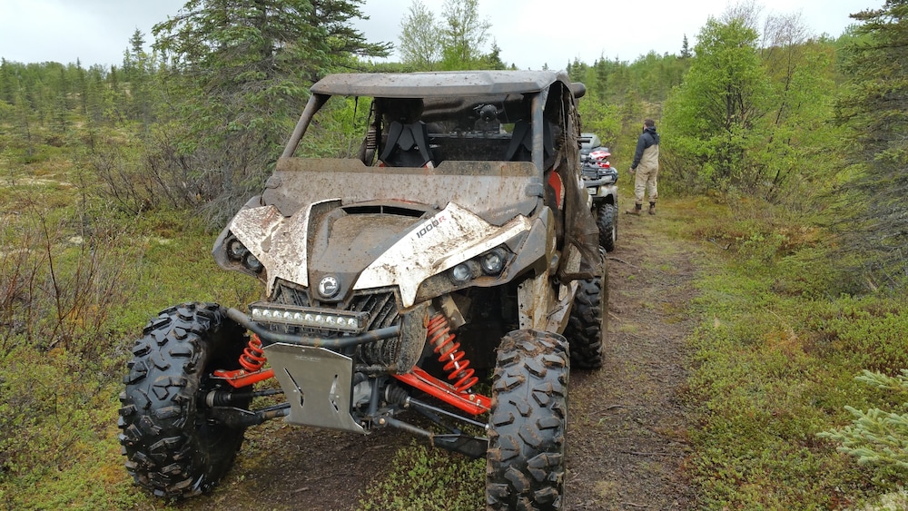 Alaska's Gold Creek Lodge