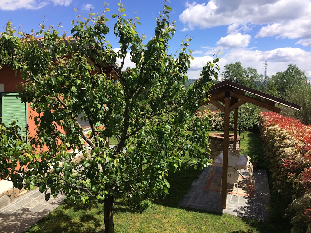 Photo 23