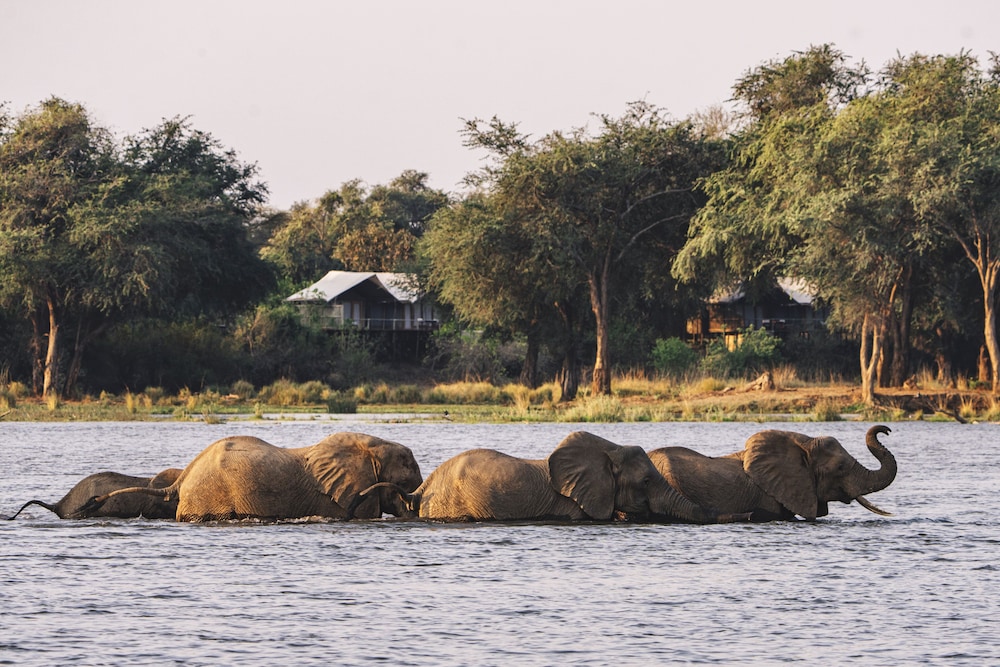 Anabezi Camp