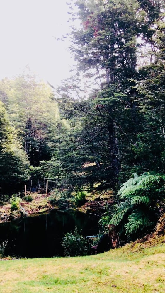 Cabañas Entre Saltos y Termas