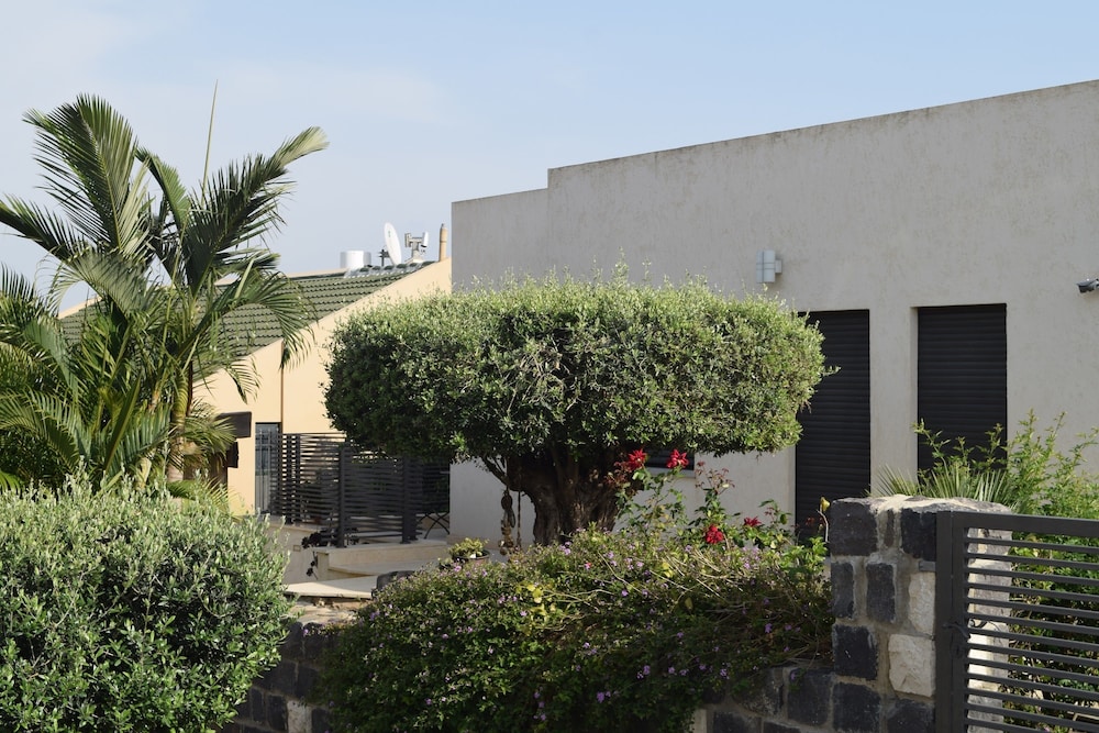 Tal Kinneret