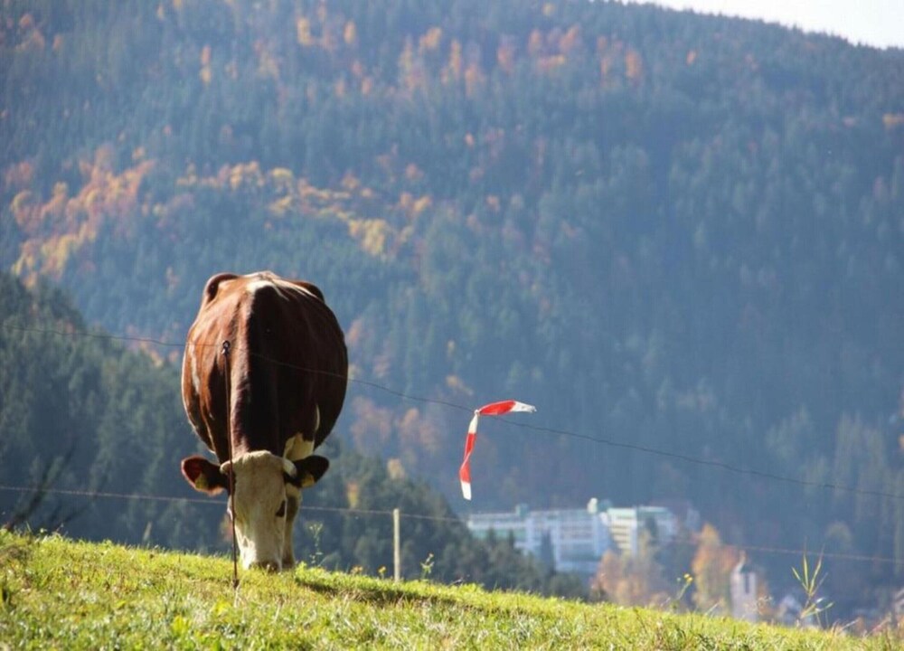 Historic Retreat, St. Georgen