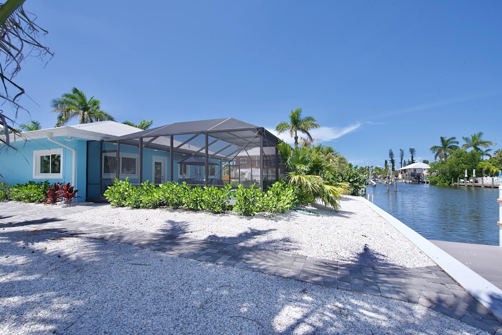 Flamingo Bay