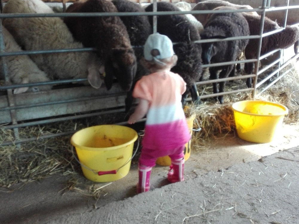 Holiday on an Organic Farm in Hart im Zillertal