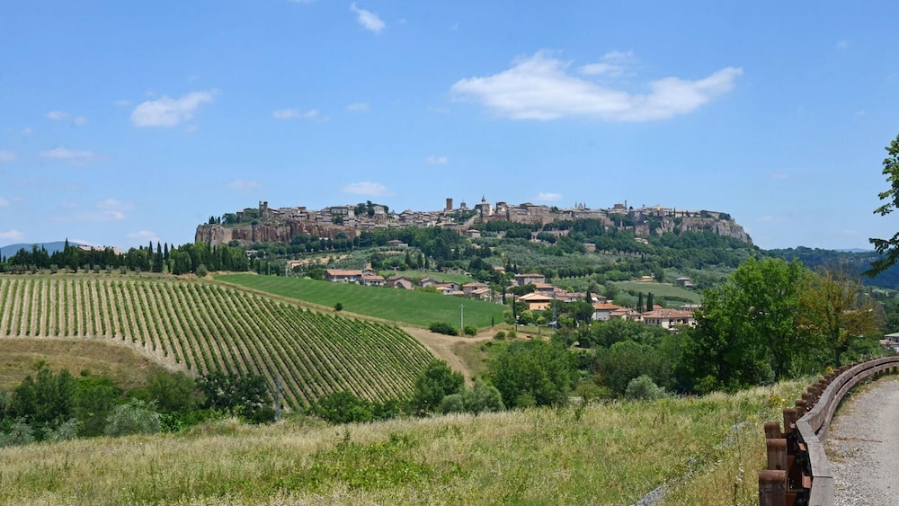 Casale dei Tigli 8 in Castel Giorgio view 4