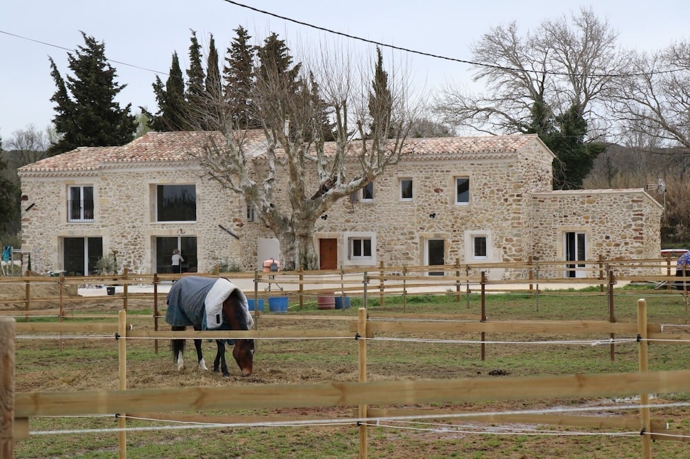 Photo 49