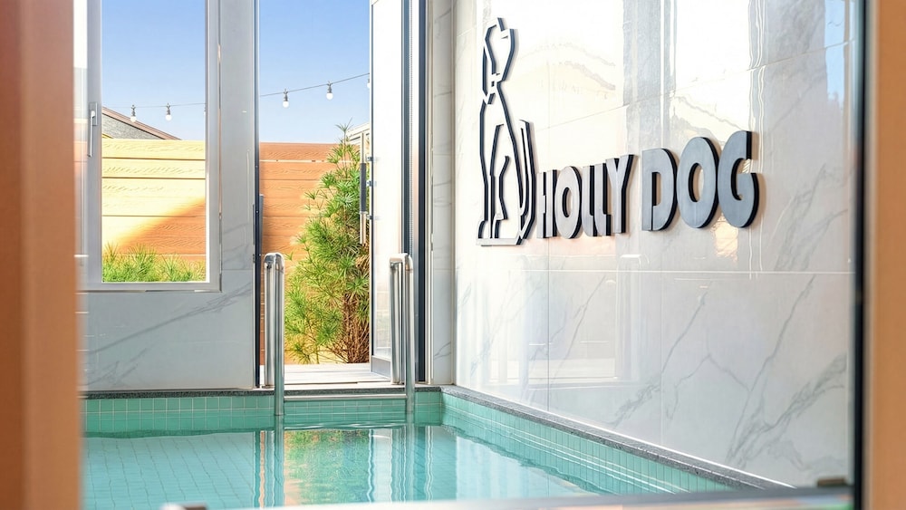 Taean Holy Dog Pool Villa