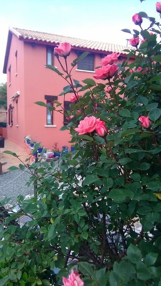 Photo 69