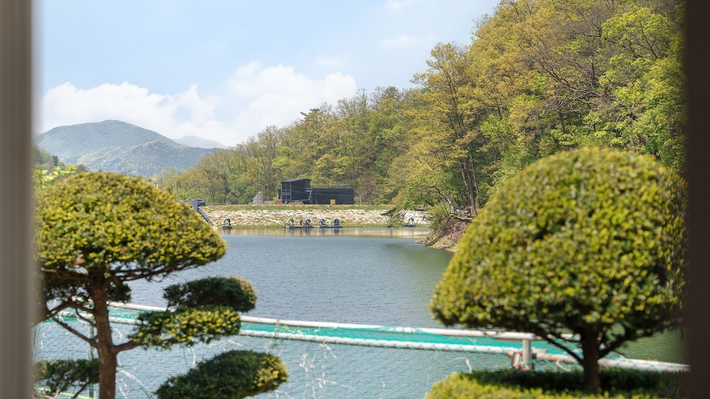 Gapeong Eoneunal Spa Pet Pension
