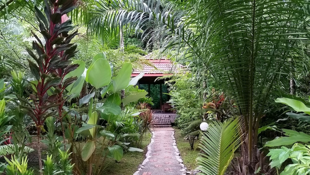 Hotel Khao Sok & Spa