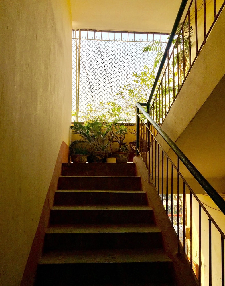 A Green Home