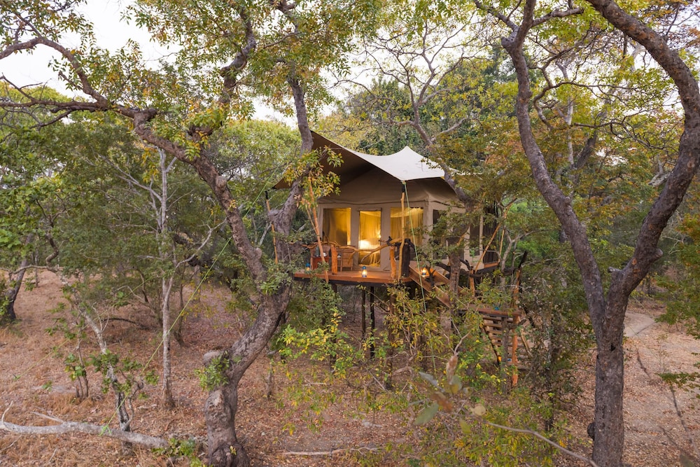 Mukambi Fig Tree Bush Camp – All Inclusive