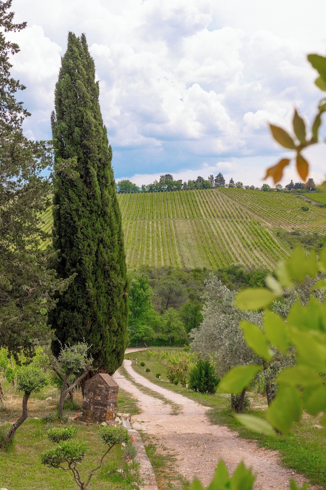 Agriturismo Montemagni di Sopra