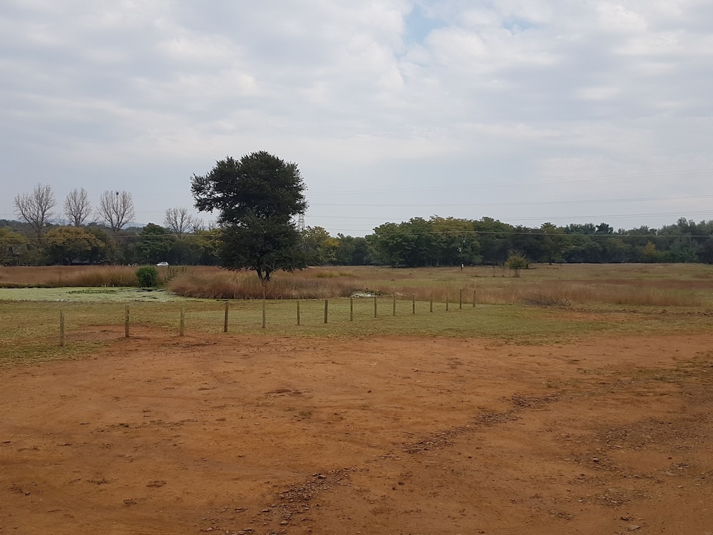 Harties Is Africa