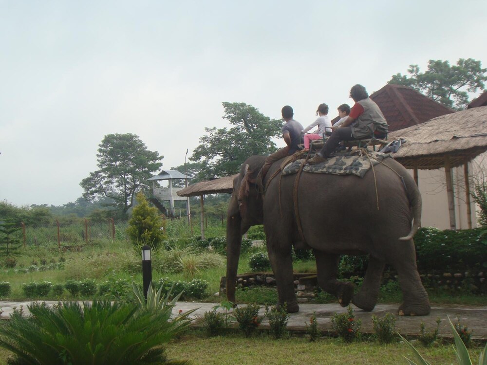 Photo 20