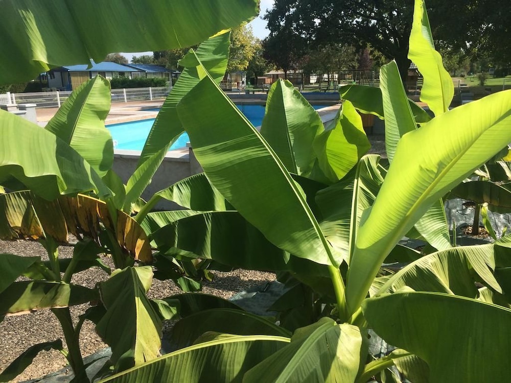 Camping les Naïades