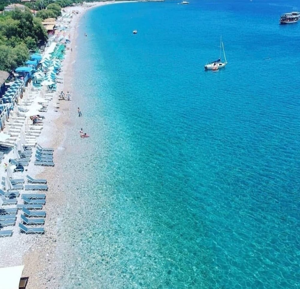 Palamut Ev