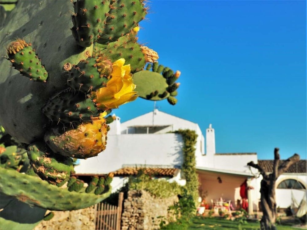 Masseria Costarella