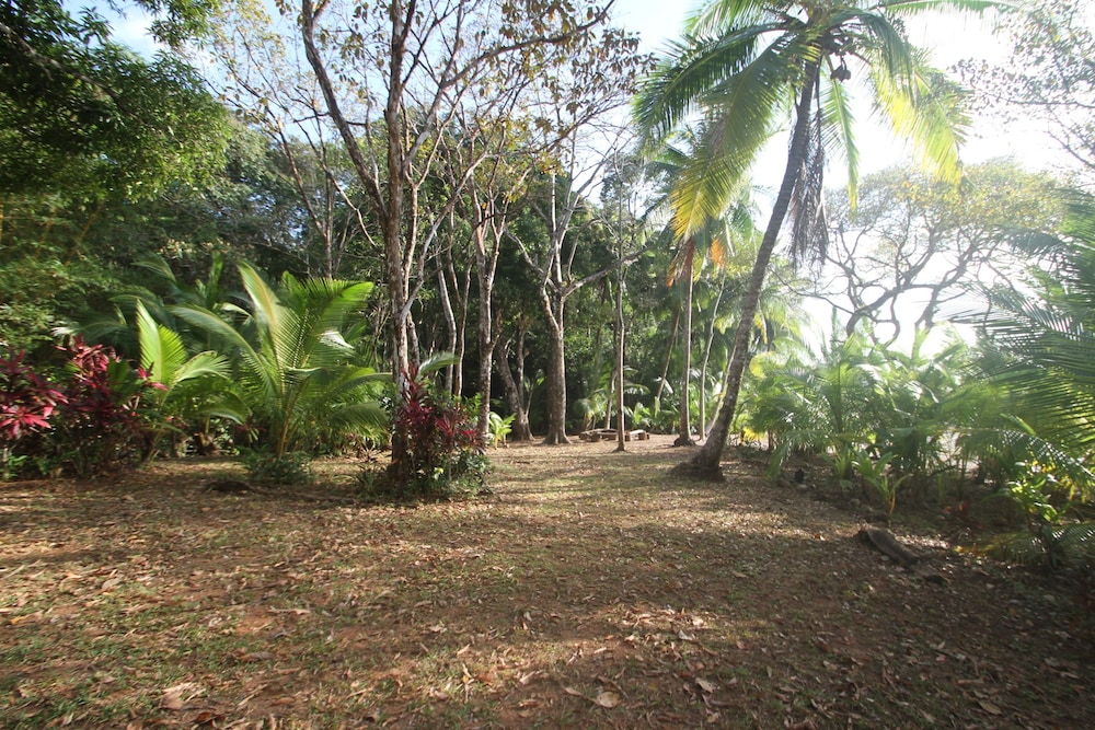 Camino del Sol