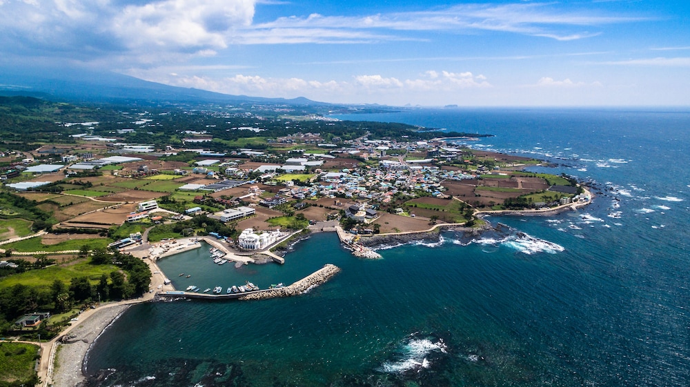 Ocean Log Pension