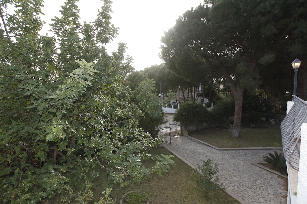 Photo 24