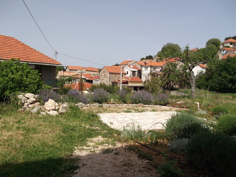 Photo 28