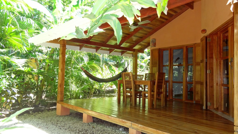 Hotel El Pequeño Gecko Verde