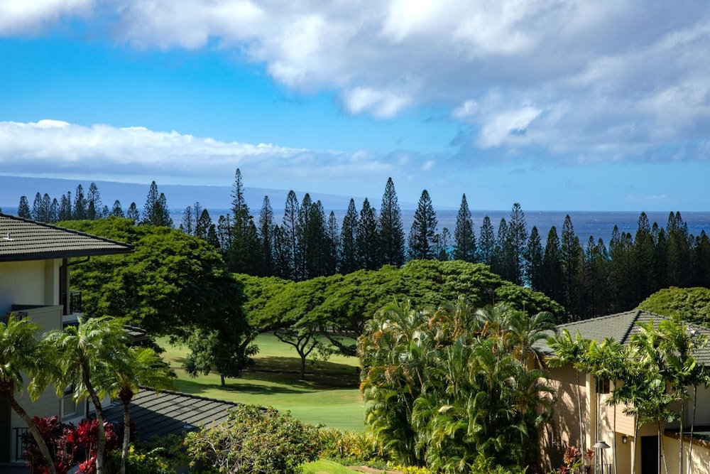 Kapalua Golf 3 Free Cars by KBM Ml-2279