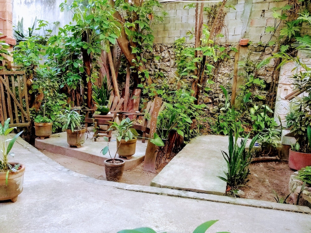 Casitas Kinsol