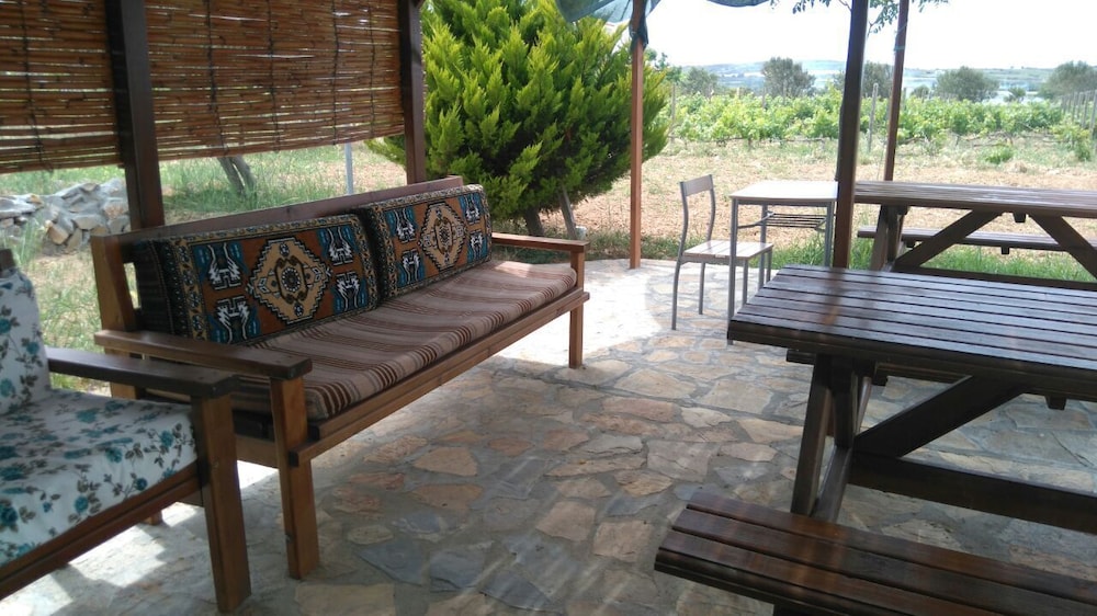 Photo 43