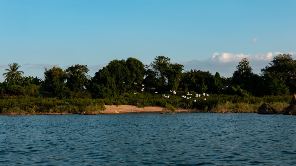 Mekong Bird Resort
