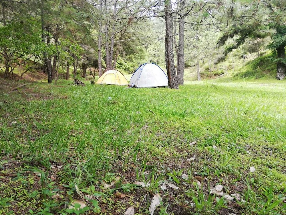 Casa Don Gil - Campsite