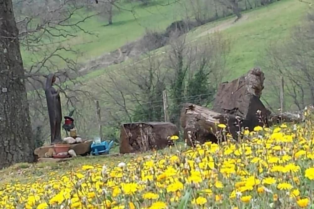 Poggio Al Vento